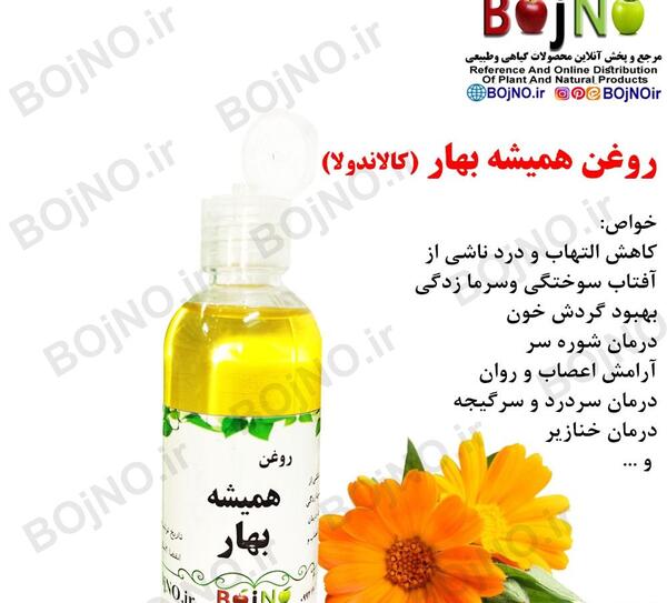 عکس گیاه گل همیشه بهار