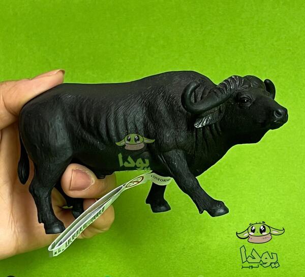 عکس بچه گاومیش
