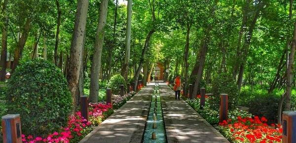 عکس از طبیعت در تابستان