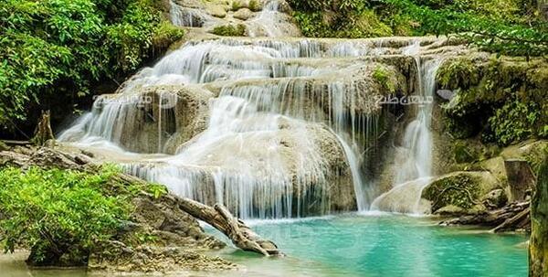 عکس از طبیعت در تابستان