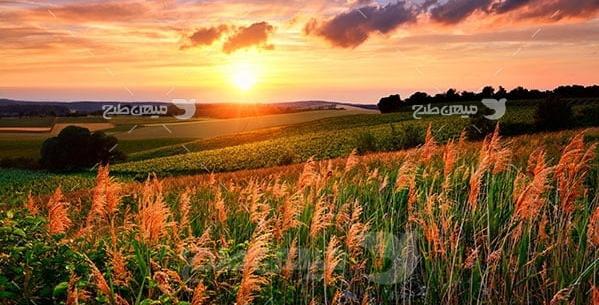 عکس از غروب طبیعت