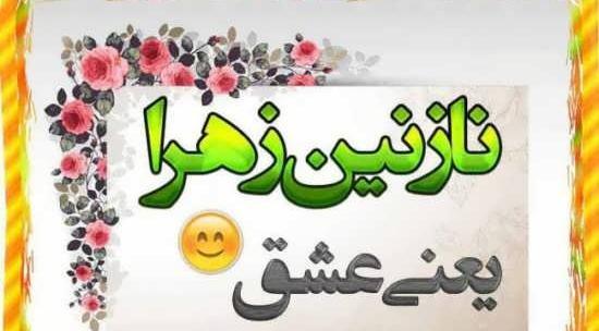 عکس پروفایل نازنین زهرا به انگلیسی