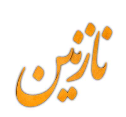 عکس پروفایل نازنین زهرا به انگلیسی