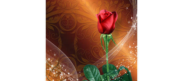 عکس گل متحرک برای پس زمینه
