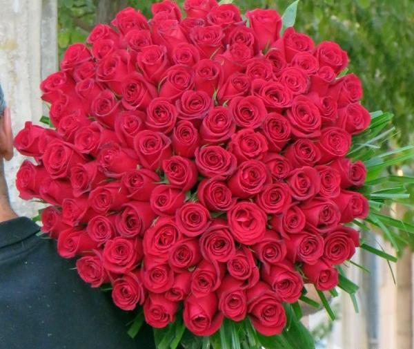 عکس گل قرمز زیبا