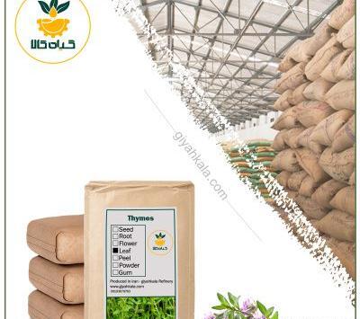عکس بوته آویشن کوهی
