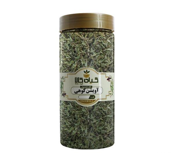 عکس بوته آویشن کوهی