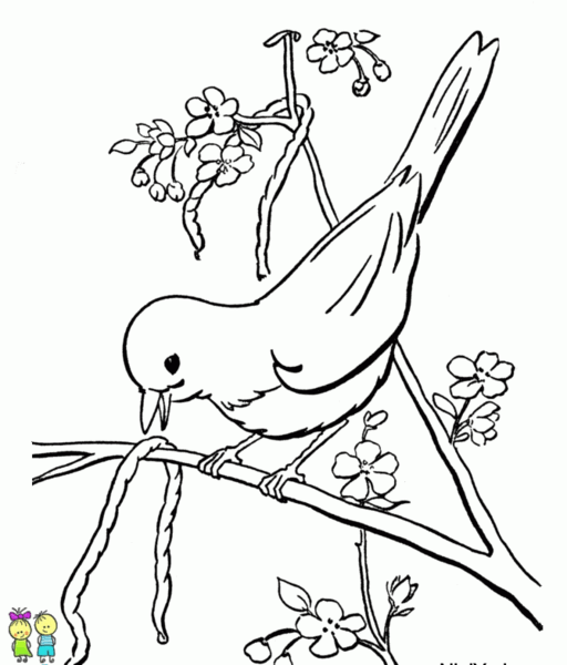 عکس نقاشی بهار کودکانه
