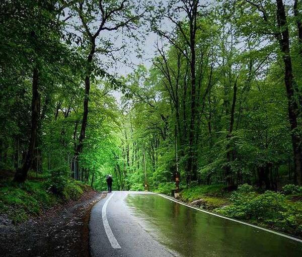 عکس پروفایل باران بهاری زیبا