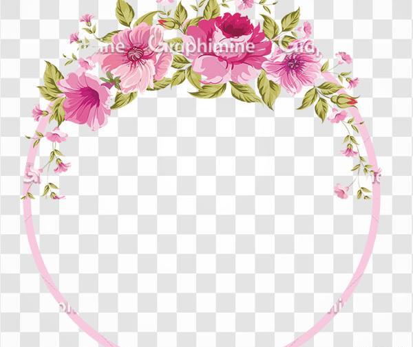 عکس گل حاشیه زیبا