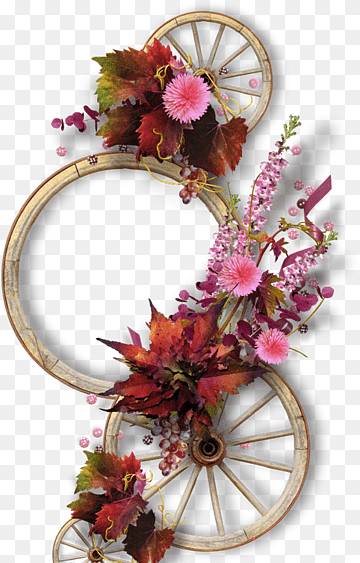عکس گل حاشیه زیبا