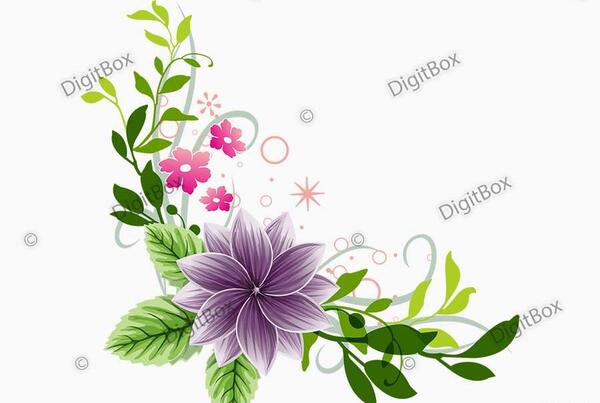عکس گل حاشیه زیبا