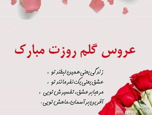 عکس تولدت مبارک عروس قشنگم