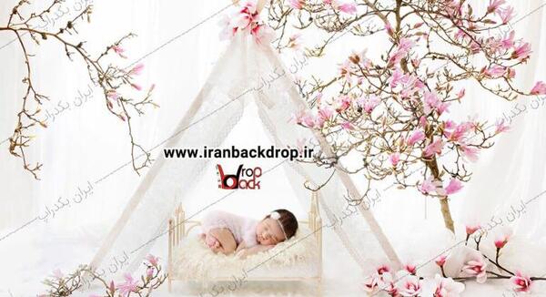 عکس های بهاری سفید