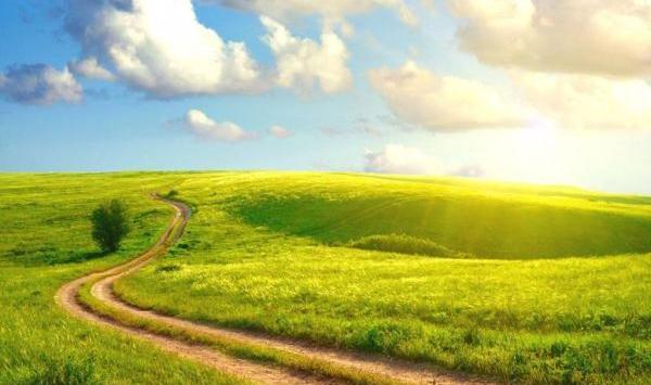 عکس آرامبخش از طبیعت