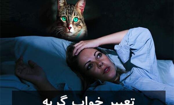 عکس بچه گربه سیاه و سفید