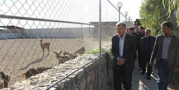عکس باغ آهو سریزد