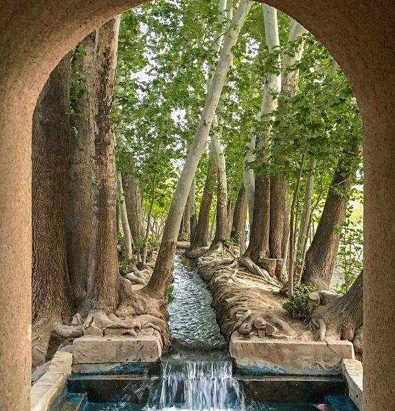 عکس باغ آهو سریزد