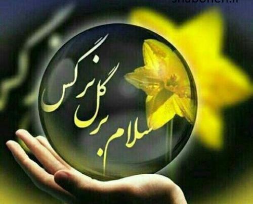 عکس پروفایل برای ولادت امام زمان