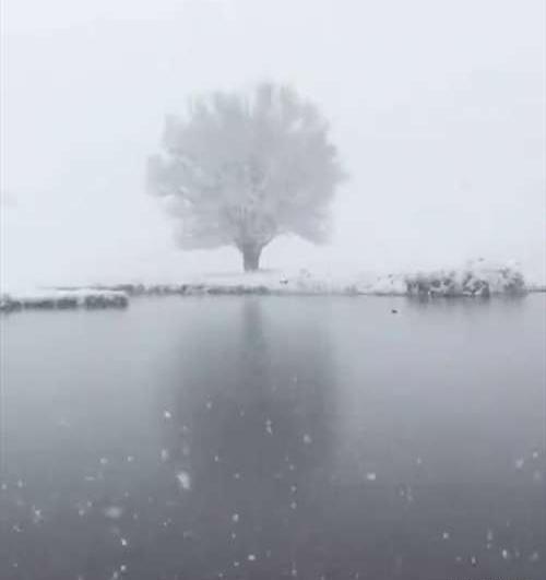 عکس متحرک طبیعت برفی