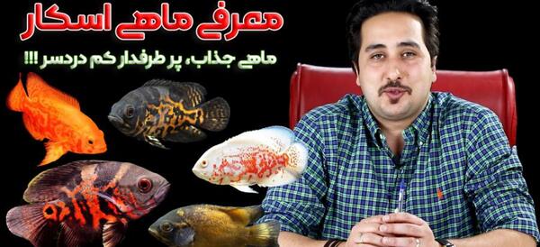 عکس بچه ماهی اسکار