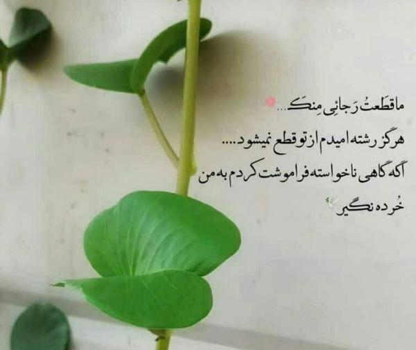 عکس برای پروفایل نوشته زیبا