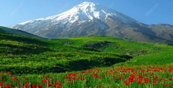 عکس طبیعت پلور