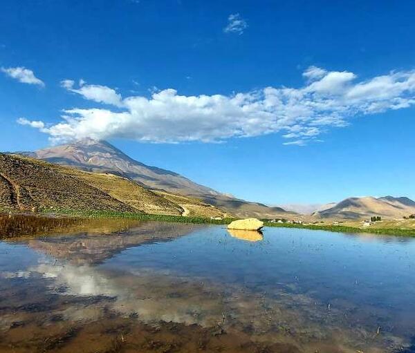 عکس طبیعت پلور