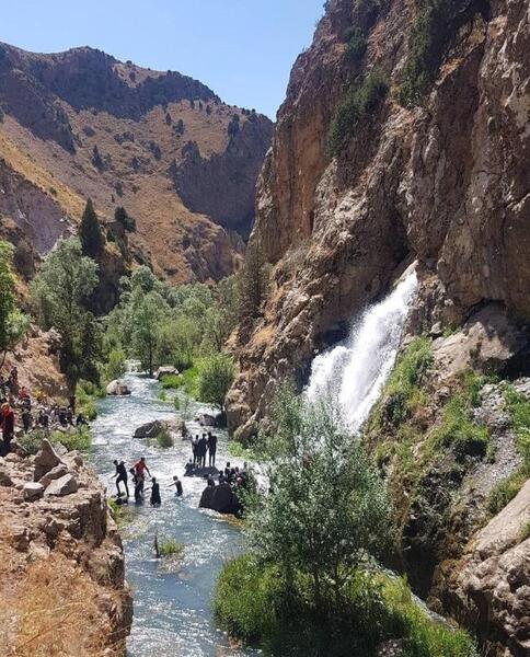 عکس طبیعت پلور