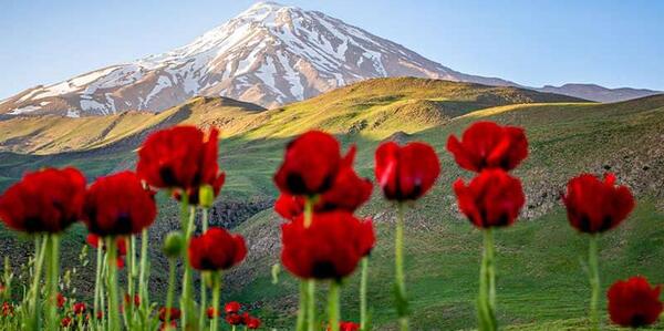 عکس طبیعت پلور