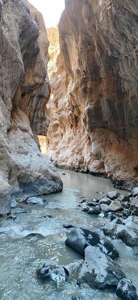 عکس طبیعت پلور