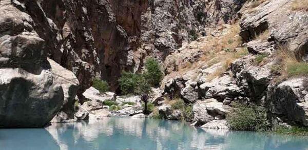 عکس طبیعت پلور