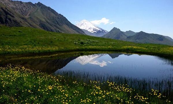 عکس طبیعت پلور