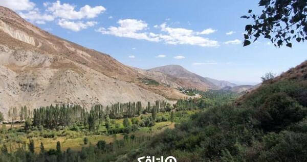 عکس طبیعت پلور