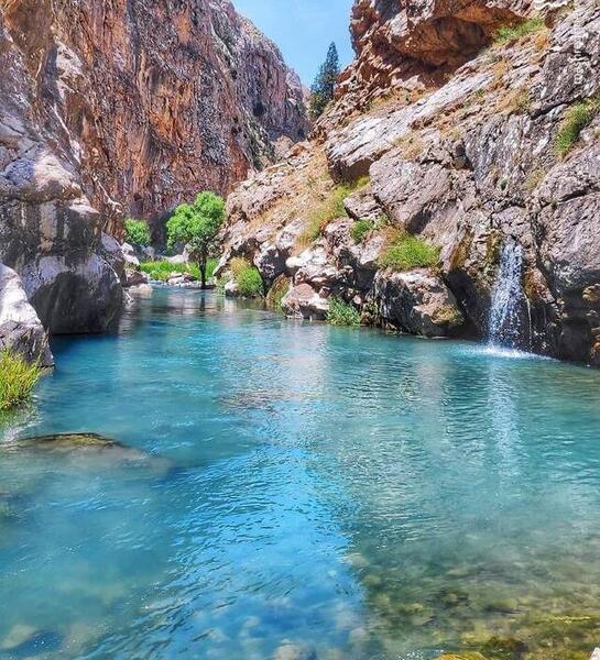 عکس طبیعت پلور