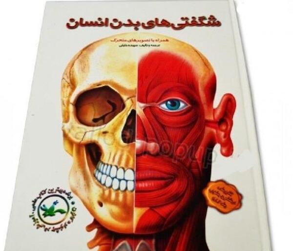 عکس تصویر سه بعدی آناتومی بدن انسان