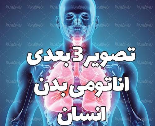 عکس تصویر سه بعدی آناتومی بدن انسان