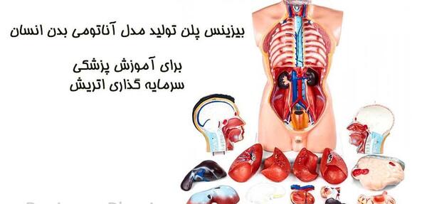 عکس تصویر سه بعدی آناتومی بدن انسان