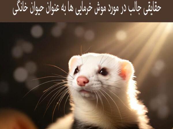 عکس بچه موش تازه متولد شده