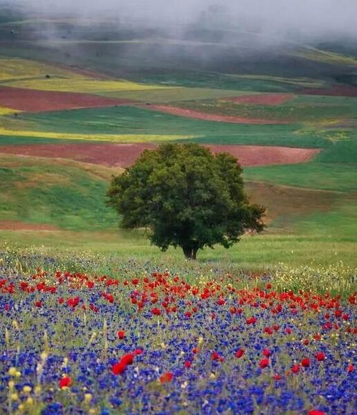 دانلود عکسهای طبیعت بهاری
