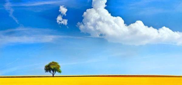 دانلود عکسهای طبیعت بهاری