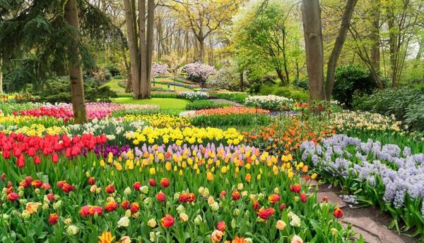 عکس گلهای بهاری برای پروفایل