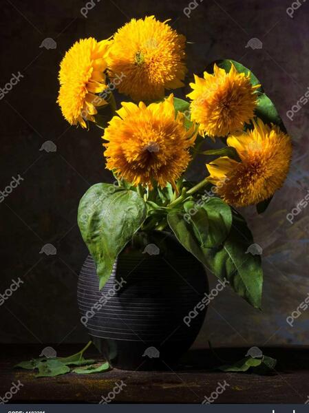 عکس گل آفتابگردان در گلدان