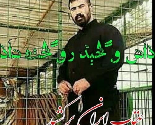 عکس الان بچه وحید مرادی