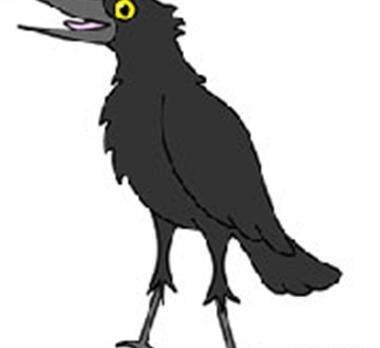 عکس بچه ی کلاغ