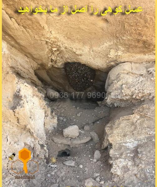 عکس عسل طبیعی در کوه
