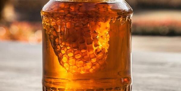 عکس عسل طبیعی در کوه