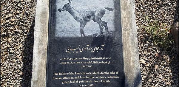 عکس بچه اهو زیبا