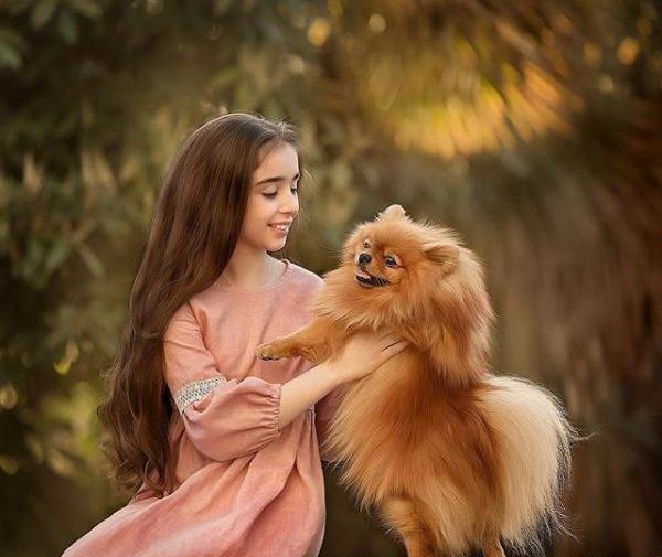 عکس بچه روباه ناز