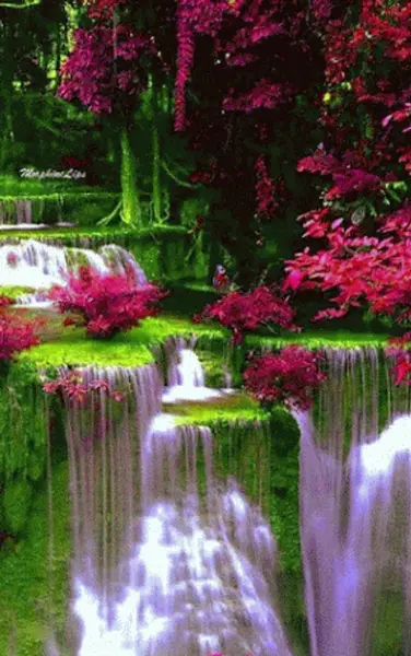 عکس متحرک طبیعت بهاری